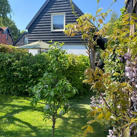 فيلا Tiny House De Oude Berg بيرشِن المظهر الخارجي الصورة
